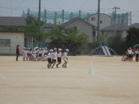 DSC00768