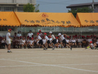 DSC00790