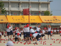 DSC00796