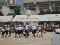 DSC00797