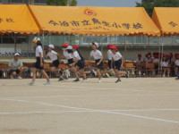DSC00833