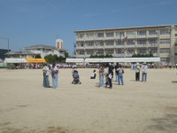 DSC00798