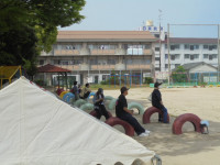 DSC00800