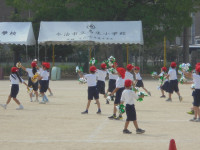 DSC00918