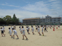 DSC00919