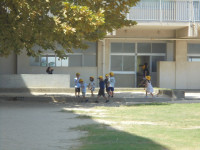 DSC02062