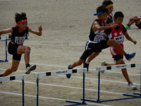 DSCN1210
