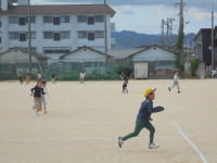 DSC02384