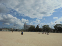 DSC02373