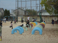 DSC03803