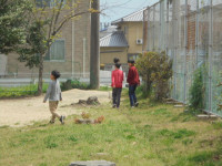 DSC03801