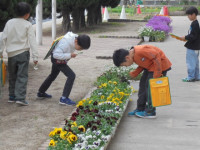 DSC03826