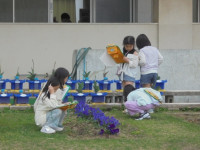 DSC03827