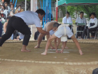 DSC03911