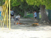 DSC04116