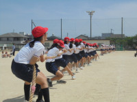 DSC04200