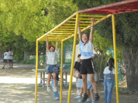 DSC04237
