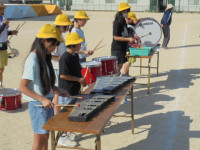 DSC04333