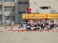 DSC04373