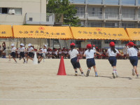 DSC04390