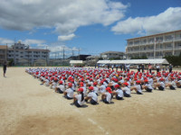 DSC04401