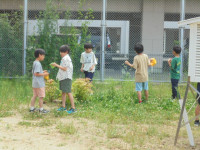 DSC04420