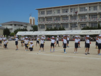 DSC04454