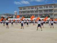 DSC04466