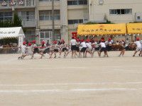 IMGP0316