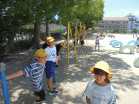 DSC04795