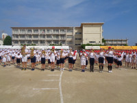 DSC07833