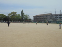 DSC00653