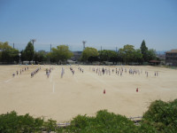 DSC00746