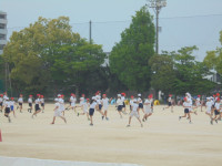 DSC00774