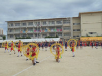 DSC00969