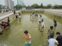 DSC01185