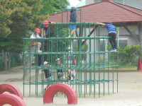 DSC01253