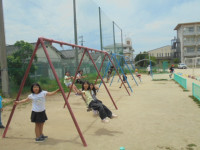 DSC01255