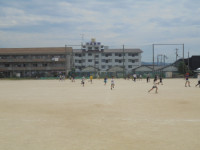 DSC01264