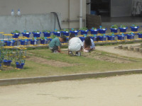 DSC01267
