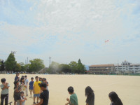 DSC01240