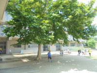 DSC01906