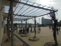 DSC02043