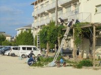 DSC04976