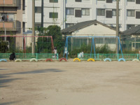 DSC04981