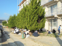 DSC04985