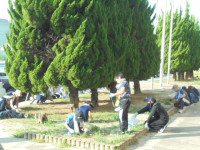 DSC04986