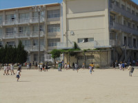 DSC05290