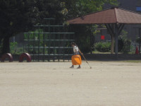 DSC05292